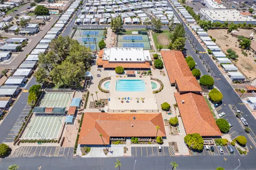 Arizona Citrus Grove in Mesa, Arizona